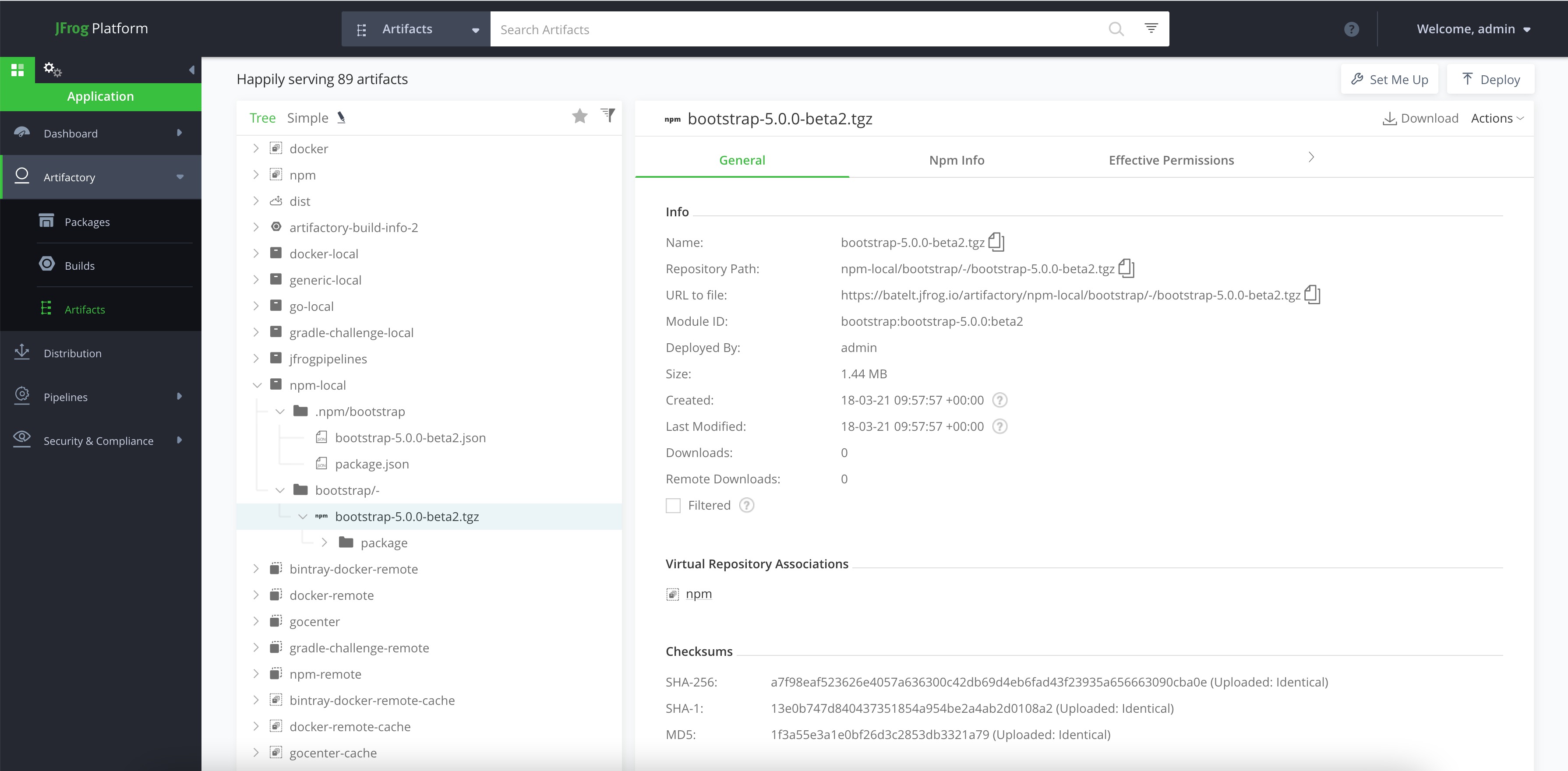 npm package in Artifactory